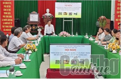 Triển khai quy định về quản lý, phát triển mã số vùng trồng và cơ sở đóng gói phục vụ xuất khẩu