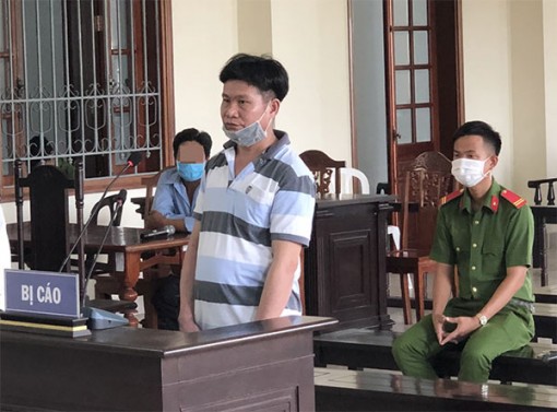 Dùng xung điện bẫy chuột gây chết người, lãnh án 5 năm tù