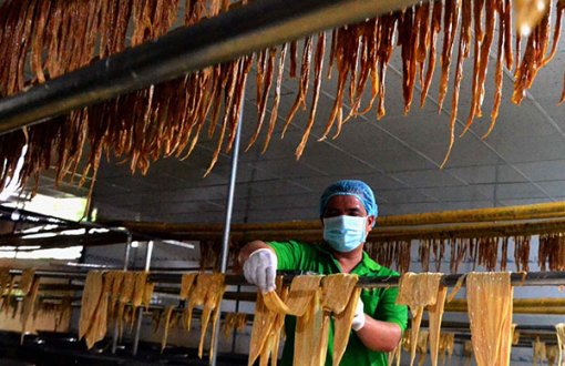 Đồng Tháp: Lần đầu tiên xuất khẩu thực phẩm chay đóng hộp sang Anh