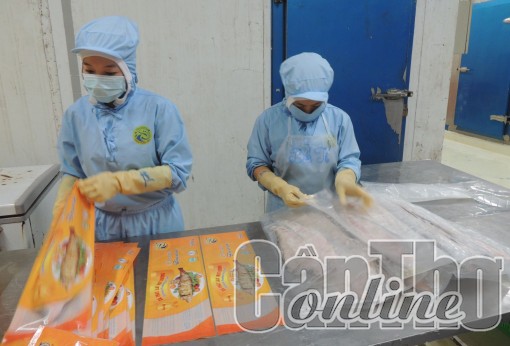 Ứng dụng cẩm nang quản trị doanh nghiệp nhỏ và vừa vào thực tế sản xuất, kinh doanh