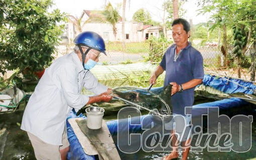 Đa dạng chủng loại, giá một số mặt hàng tăng cao