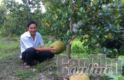 Có việc làm, người mù tự tin hơn trong cuộc sống