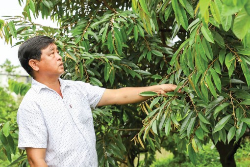 Làm giàu nhờ mạnh dạn chuyển đổi mô hình sản xuất