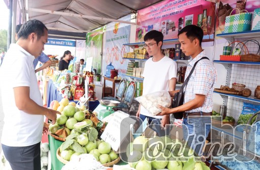 Hỗ trợ hợp tác xã liên kết sản xuất hàng hóa, nông sản đặc trưng