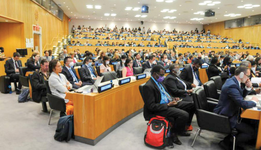 Việt Nam đóng góp tích cực vào đàm phán văn kiện về đa dạng sinh học