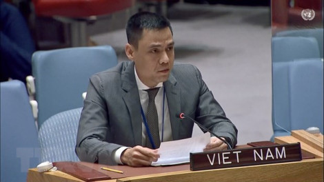 Vietnam proposes UNDP be creative in mobilising resources for development