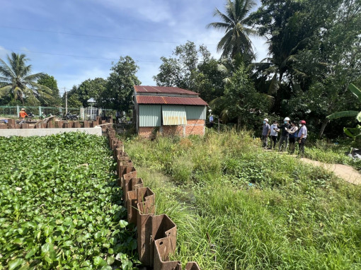 Xây đập tạm gây ô nhiễm môi trường 