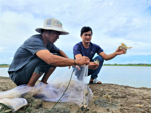 Đào tạo nghề giúp nuôi tôm, cua thành công