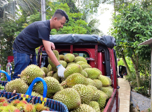 Ứng dụng công nghệ trong thu thập thông tin, dự báo thị trường nông sản