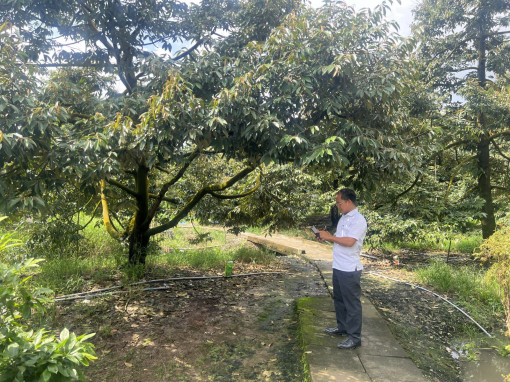 Nông dân chuyển hướng sản xuất nông sản an toàn