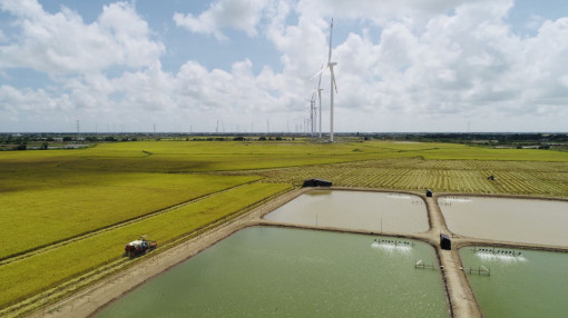 Củng cố nội lực để thu hút vốn FDI hiệu quả