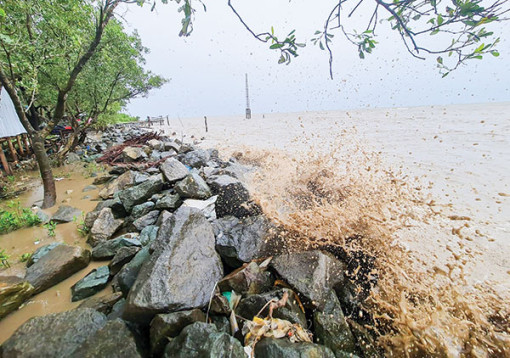 Cà Mau triển khai nhiều giải pháp bảo vệ bờ biển