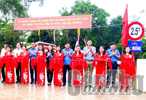 Sức bật mới ở Trường Long