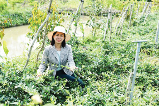 Kinh tế thảo dược