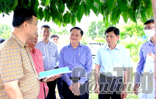 Tập trung chỉ đạo triển khai các dự án xây dựng đường cao tốc