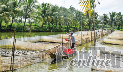 Nâng cao chất lượng, khả năng cạnh tranh sản phẩm nông lâm thủy sản
