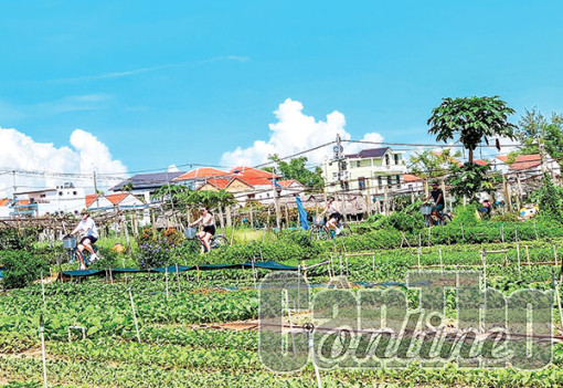 LÀNG RAU TRÀ QUẾ - Khi điểm đến xanh cũng là di sản