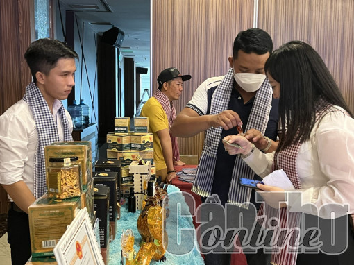 Kết nối thương mại điện tử TP Cần Thơ và các tỉnh ĐBSCL