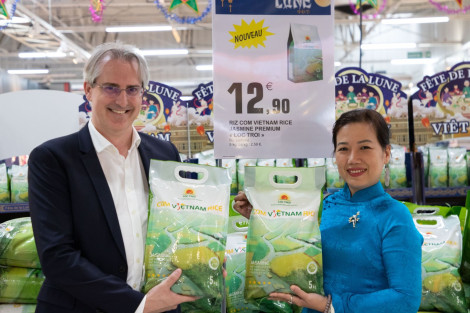 Cơm ViệtNam Rice - Khởi đầu hành trình ra "biển lớn" của gạo Việt
