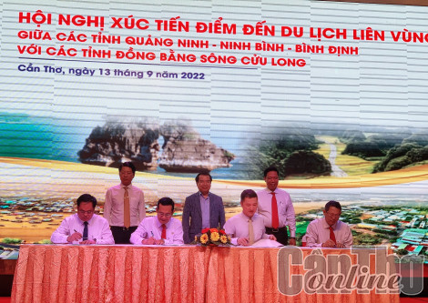 Đẩy mạnh hợp tác điểm đến du lịch giữa khu vực ĐBSCL với Quảng Ninh, Ninh Bình và Bình Định