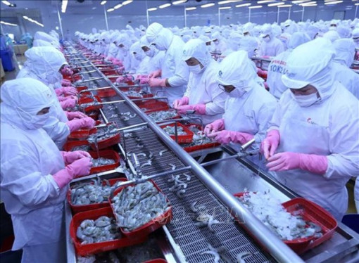 Vietnam’s aquatic exports to Russia record strong rebound