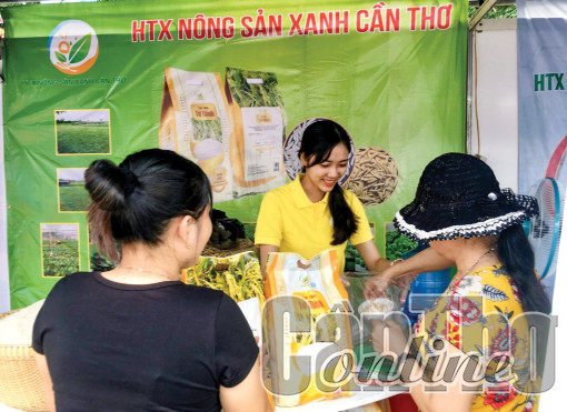 Hỗ trợ hợp tác xã phát triển bền vững, thích ứng với nền kinh tế thị trường
