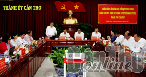 TP Cần Thơ tiếp tục phát huy vai trò của đội ngũ doanh nhân trong thời kỳ đẩy mạnh CNH, HÐH và hội nhập quốc tế