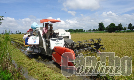 Huy động và ưu tiên các nguồn lực hỗ trợ phát triển hợp tác xã