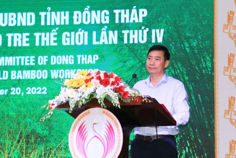 Dong Thap combines bamboo conservation with ecotourism