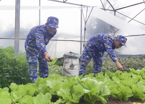 Màu xanh trên nền cát mặn, san hô