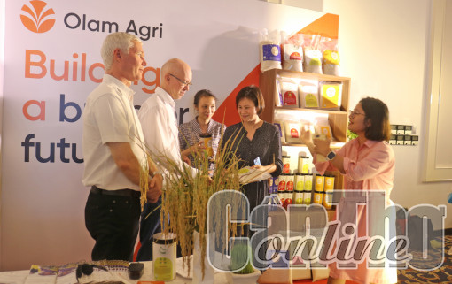 Dự án MSVC góp phần nâng cao giá trị hạt gạo Việt Nam và cải thiện thu nhập cho nhiều nông hộ