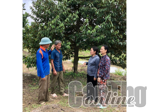 Hỗ trợ nhân dân phát triển kinh tế, giảm nghèo