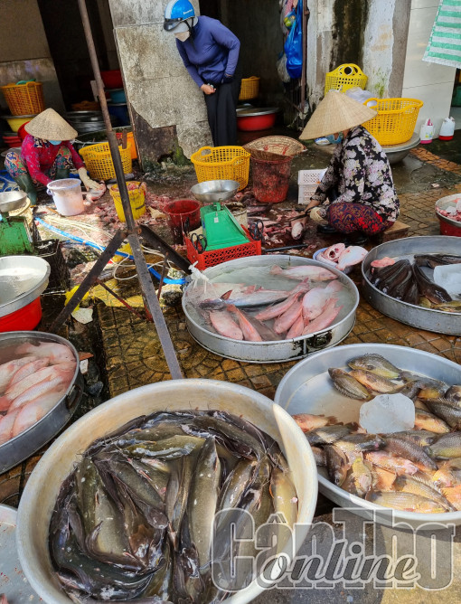 Giá nhiều loại cá đồng giảm