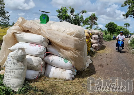 Xuất khẩu gạo năm 2022 dự kiến đạt 6,3-6,5 triệu tấn