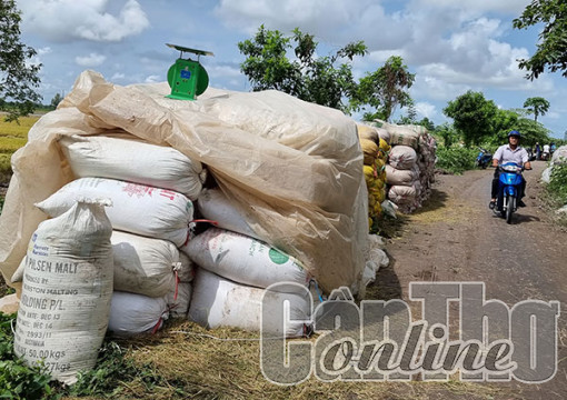 Xuất khẩu gạo năm 2022 dự kiến đạt 6,3-6,5 triệu tấn