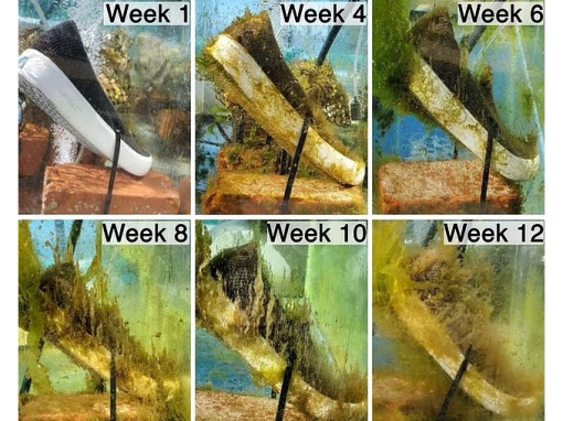 Giày dép phân hủy sinh học, một nỗ lực hướng tới thời trang bền vững