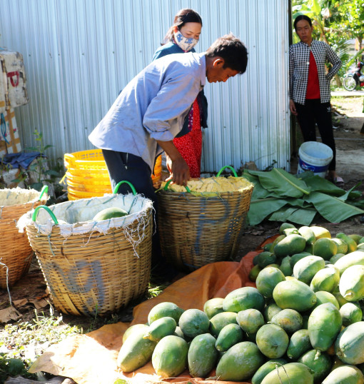 Ðu đủ bán được giá