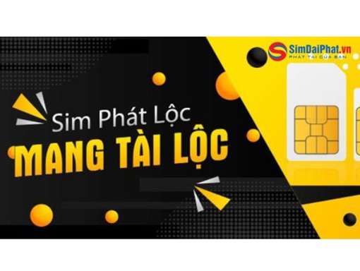Tại sao nên mua sim số đẹp tại kho Sim Đại Phát?