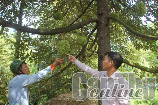 Huy động, phân bổ hơn 2.260 tỉ đồng xây dựng xã nông thôn mới nâng cao và kiểu mẫu