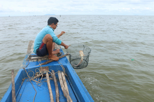 Câu kiều trên biển Tây Nam