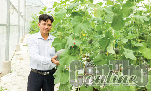 Quảng bá, thúc đẩy tiêu thụ nông sản thông qua thương mại điện tử