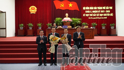 Xây dựng đội ngũ cán bộ ngành Tổ chức xây dựng Đảng ngang tầm nhiệm vụ