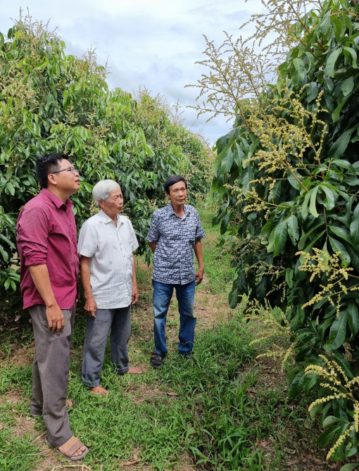 Thới Lai phát triển kinh tế hợp tác