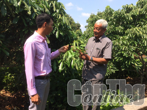 Phát huy vai trò chủ thể của hội viên, 
nông dân trong phát triển kinh tế, xây dựng nông thôn mới, đô thị văn minh