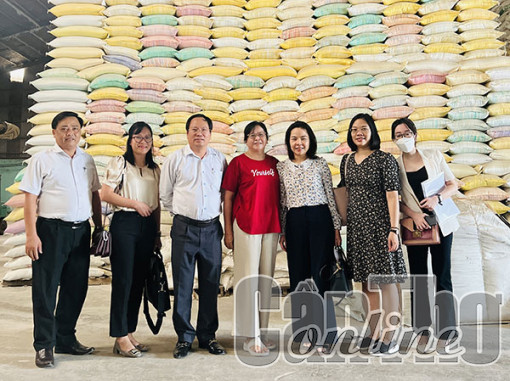 Khảo sát các doanh nghiệp thuộc chương trình ưu đãi hỗ trợ tín dụng theo Nghị định số 31/2022/NÐ-CP của Chính phủ