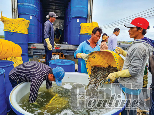 Gỡ khó để thủy sản phát triển