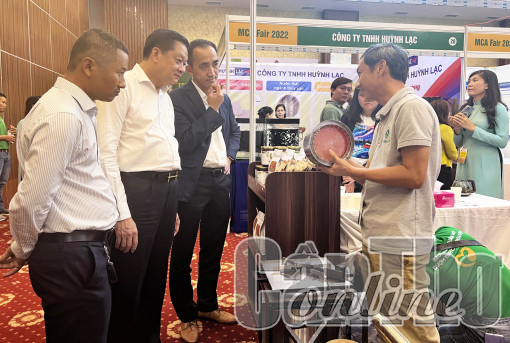 Phát huy vai trò của khu vực kinh tế tư nhân trong thích ứng biến đổi khí hậu