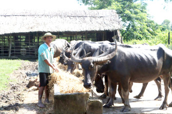 ជីវ​ភាព​ថ្មី​របស់​ជន​រួម​ជាតិ​ខ្មែរ​នៅ​ទ្រុង​ថុង