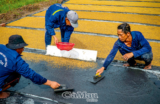 ស្ទូង​ស្រូវ​ដោយ​ប្រើ​បច្ចេក​វិទ្យា​ថ្មី​