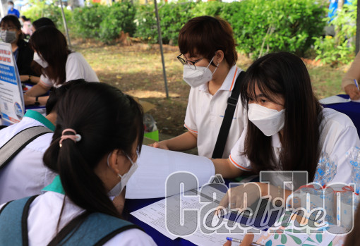 Thị trường việc làm cuối năm dự báo nhiều sôi động